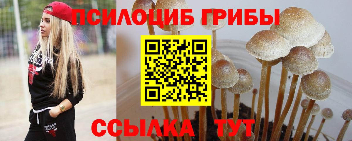 Галлюциногенные грибы прущие грибы Ахтубинск