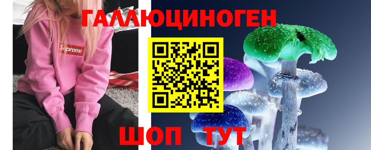 Галлюциногенные грибы Psilocybe  Галлюциногенные грибы ЛСД  Ахтубинск  Вход с VPN 